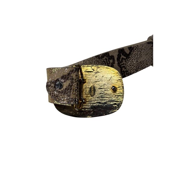 Cochni Bronze Belt With Glitter Buckle In Gift Box - Picture 6 of 9